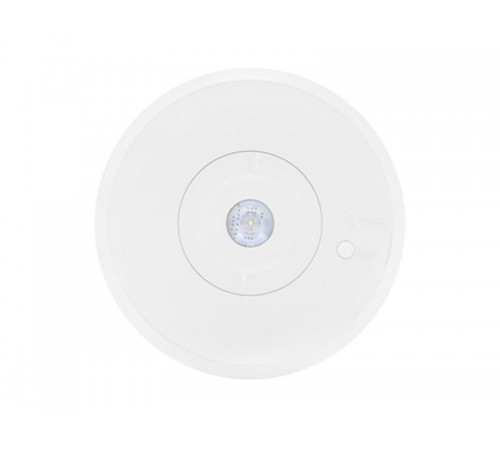 Указатель аварийный светодиодный ORBIT 6513-2 LED AT 2Вт 3x IP65 непостоянный встраиваемый  4502003840  Световые Технологии