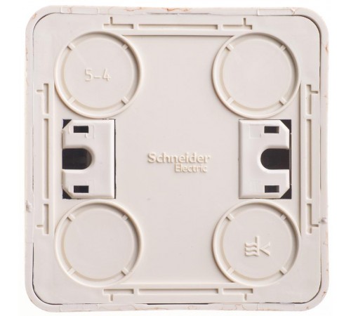 Этюд Сосна О/У Выключатель 2-клавишный (сх. 5)  BA10-002D  SE