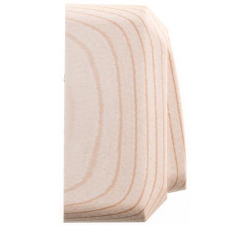 Этюд Сосна О/У Выключатель 2-клавишный (сх. 5)  BA10-002D  SE