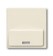 ABB Basic 55 Сл. кость Плата центральная (накладка)для механизма док-станции Busch-iDock 8218 U  8200-0-0168  ABB