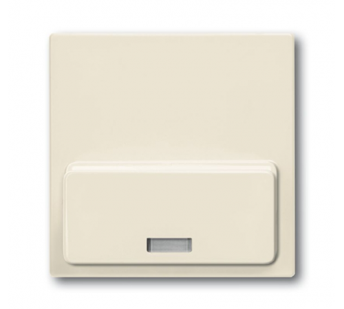 ABB Basic 55 Сл. кость Плата центральная (накладка)для механизма док-станции Busch-iDock 8218 U  8200-0-0168  ABB