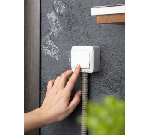 Владивосток Выключатель 10А IP54 сер. EKF PROxima  EQR16-021-30-54  EKF