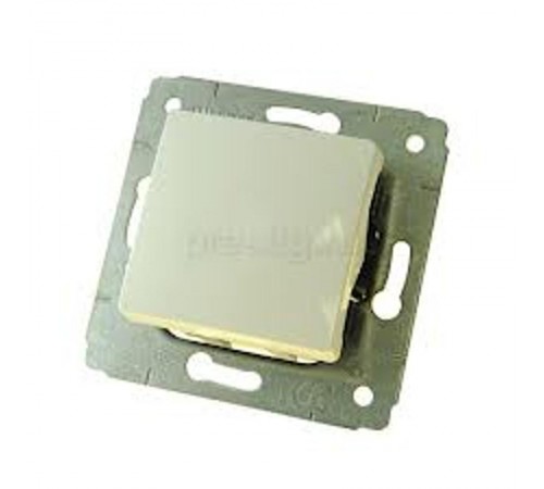 Cariva Сл. кость Переключатель 1-клавишный  773757  Legrand