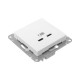 Механизм розетки USB-C - 2шт, белый Эпика EKF  UP1-SOW-2USBC  EKF