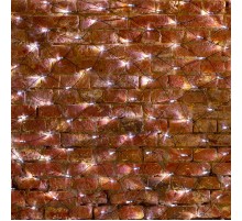 Гирлянда "Сеть" 2,5х2,5м, черный ПВХ, 432 LED Белые  215-031  NEON-NIGHT