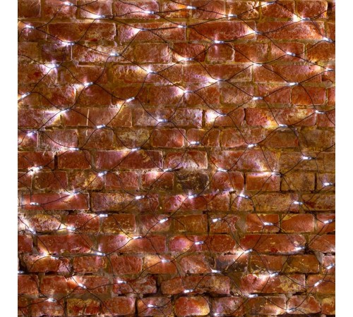 Гирлянда "Сеть" 2,5х2,5м, черный ПВХ, 432 LED Белые  215-031  NEON-NIGHT