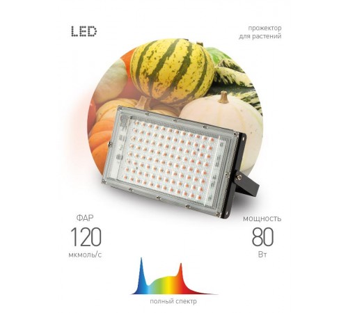 Фитопрожектор для растений светодиодный FITO-80W-Ra90-LED-Y полного спектра  Б0057284  ЭРА