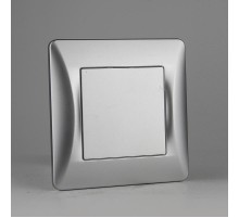 Заглушка (серебристый) серия BW  201335  SPL