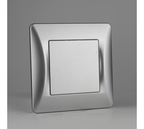 Заглушка (серебристый) серия BW  201335  SPL