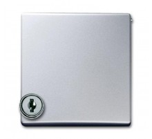 Плата промеж. с крышкой для центр. плат , с индивидуальным зам., IP44, серия Allwette 44, цвет серебр.-алюм.  1710-0-3789   2CKA001710A3789  ABB