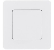 Inspiria Белый Переключатель без фиксации (кнопка) с Н.О./Н.З. контактом 6 A С/У без рамки  673690  Legrand