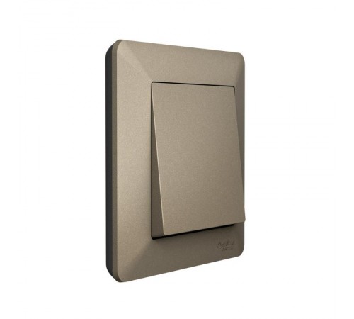 AtlasDesign Air Рамка 1-ая, Шампань / Дымчатый Черный  ATN220501  SE