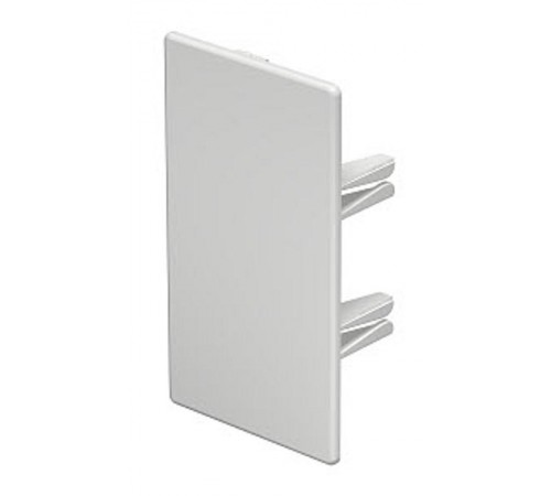 Торцевая заглушка кабельного канала WDKH 60x110 мм (ABS-пластик,светло-серый) (WDKH-E60110LGR)  6175944  OBO Bettermann