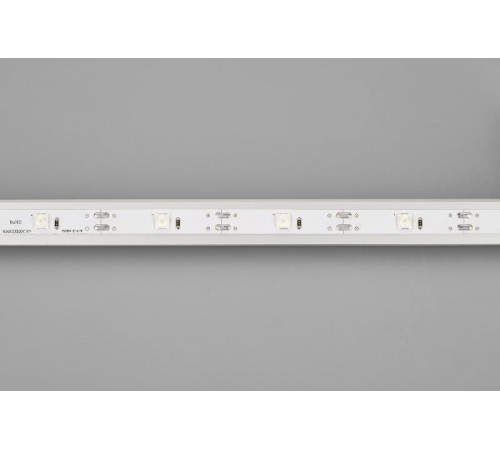 Лента светодиодная RT-5000-6060LENS-20-12V Day4000 (10mm, 10W/m, IP20) (arlight, Открытый)  030893  Arlight