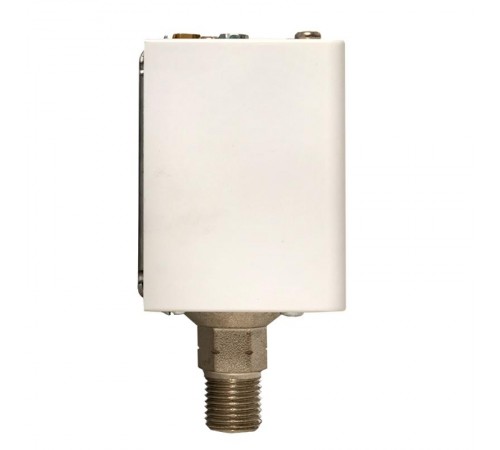 Реле избыточного давления EKF RVG-20-0,6 (0,6 МПа)  RVG-20-0,6  EKF