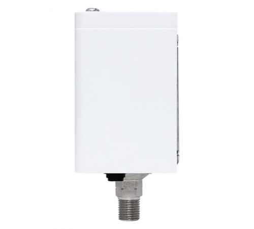 Реле избыточного давления EKF RVG-20-1,6 (1,6 МПа)  RVG-20-1,6  EKF