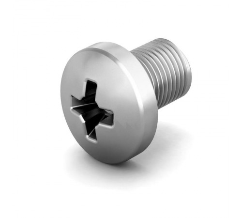 Винт М6х10  CLP1M-V-6-10  IEK