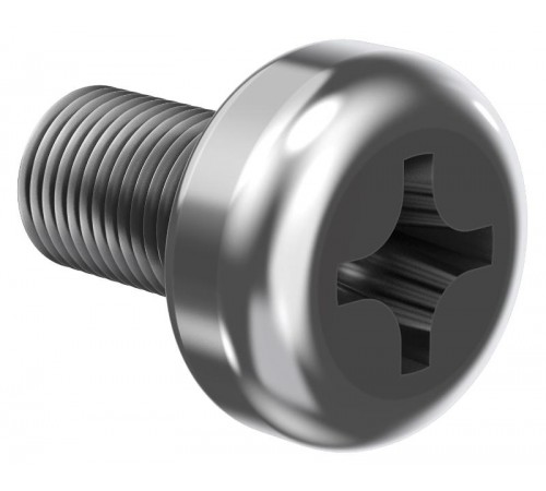 Винт М6х10  CLP1M-V-6-10  IEK