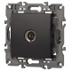14-3101-05 Розетка TV одиночная, IP20, Эра Elegance, антрацит  Б0034294  ЭРА