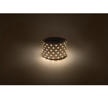 Лента светодиодная  LS5050 -14,4-60-12-3000K-IP20-1 year-5m теплый белый 5м  Б0059909  ЭРА