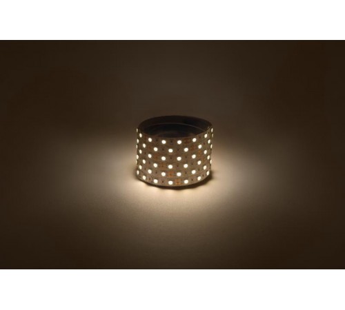 Лента светодиодная  LS5050 -14,4-60-12-3000K-IP20-1 year-5m теплый белый 5м  Б0059909  ЭРА