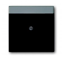 Накладкадля розеток с супп. 1810, 1812, 1814, 1816 и 1818, с полем для надписи, 1816,1818 серия solo/future  1710-0-3910   2CKA001710A3910  ABB