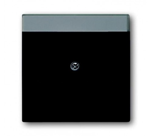 Накладкадля розеток с супп. 1810, 1812, 1814, 1816 и 1818, с полем для надписи, 1816,1818 серия solo/future  1710-0-3910   2CKA001710A3910  ABB