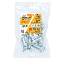 Анкер с болтом 8.8 DX ZN М6/5 (25 шт) - пакет  147586  Tecfi