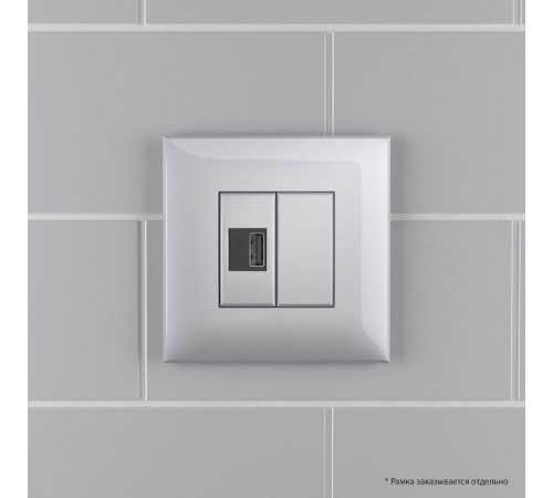 USB зарядное устройство в стену, "Avanti", "Закаленная сталь"  4404543  DKC