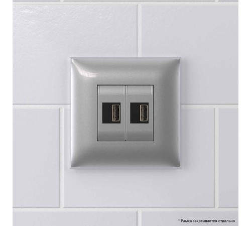 USB зарядное устройство в стену, "Avanti", "Закаленная сталь"  4404543  DKC