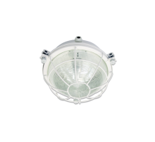 Светильник промышленный НПП03-60-003 ЛОН 1х60Вт Е27 IP65  1003160003  АСТЗ