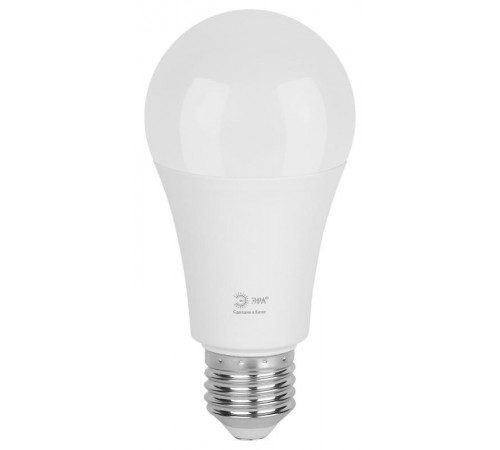 Лампа светодиодная  GREEN LINE LED A60-25W-840-E27 GL E27 25 Вт груша яркий белый свет  Б0067117  ЭРА