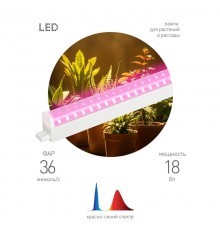 Светильник для растений, фитолампа светодиодная линейная  FITO-18W-PL-LINE 573-GR красно-синего спектра 18 Вт Т5  Б0066936  ЭРА