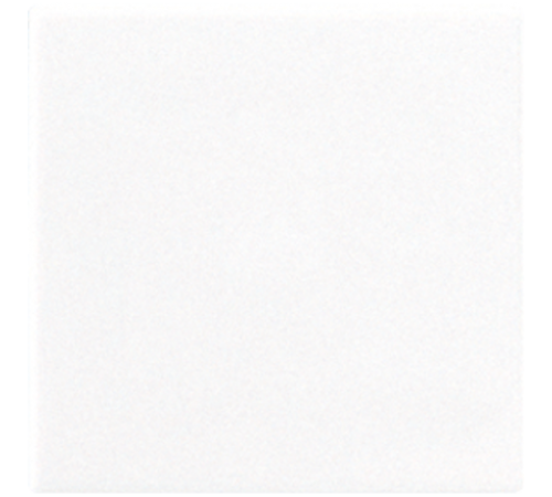 Крышка без отверстий; белая  A594-0PLWW  Jung