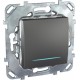 Unica TOP Графит Выключатель 1-клавишный (сх.1) с подсветкой  MGU5.201.12NZD  Schneider Electric