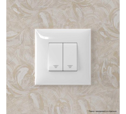 Кнопка двухклавишная в стену, "Avanti", "Белое облако"  4400154  DKC