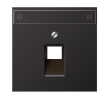 Крышка для ординарной телефонной и компютерной розетки UAE с полем для надписи AL2969-1NAUAD Jung