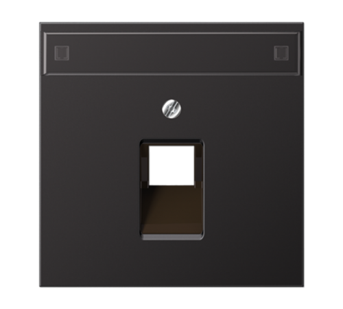 Крышка для ординарной телефонной и компютерной розетки UAE с полем для надписи AL2969-1NAUAD Jung