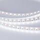 Лента светодиодная RT 2-5000 12V Cx1 White6000 2x (5060, 360 LED, LUX)  011705(1)  Arlight