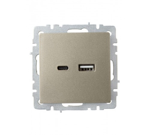 BRITE Розетка USB A+C 18Вт РЮ11-1-БрШ шампань  BR-U22-018-K37  IEK
