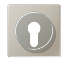 Крышка к выключателю для замочного механизма; благородная сталь ES2928 Jung