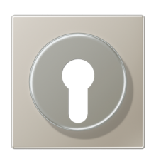 Крышка к выключателю для замочного механизма; благородная сталь ES2928 Jung