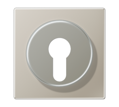 Крышка к выключателю для замочного механизма; благородная сталь ES2928 Jung