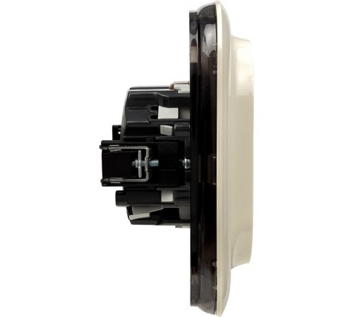 Valena ALLURE DIY Сл.кость Розетка 2-ая с/з с защитными шторками, безвинт.зажим  753826  Legrand