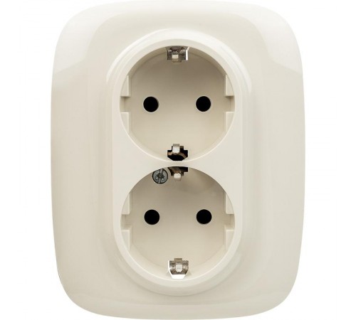 Valena ALLURE DIY Сл.кость Розетка 2-ая с/з с защитными шторками, безвинт.зажим  753826  Legrand