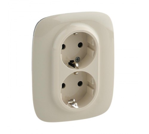 Valena ALLURE DIY Сл.кость Розетка 2-ая с/з с защитными шторками, безвинт.зажим  753826  Legrand
