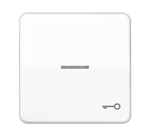 Клавиша с окошком и символом "ключ" для выключателей с подсветкой; белая  CD590KO5TWW  Jung