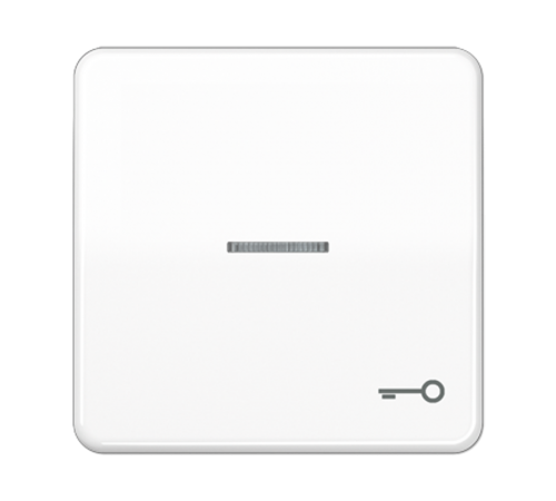 Клавиша с окошком и символом "ключ" для выключателей с подсветкой; белая  CD590KO5TWW  Jung