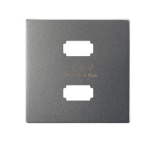 Накладка для зарядного устройства 2xUSB цвета матовый титан S82 Concept  8221096-096  Simon