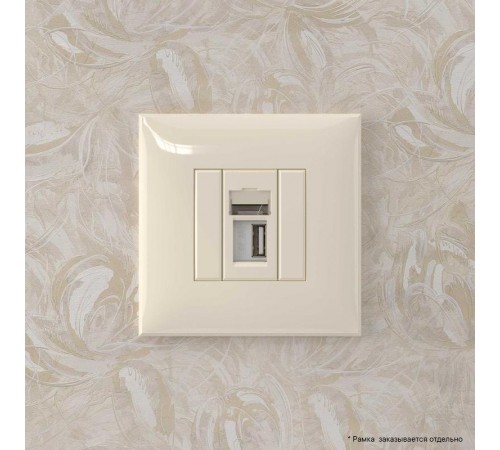 USB 2.0 розетка одинарная в стену, тип А-А, "Avanti", "Ванильная дымка"  4405403  DKC